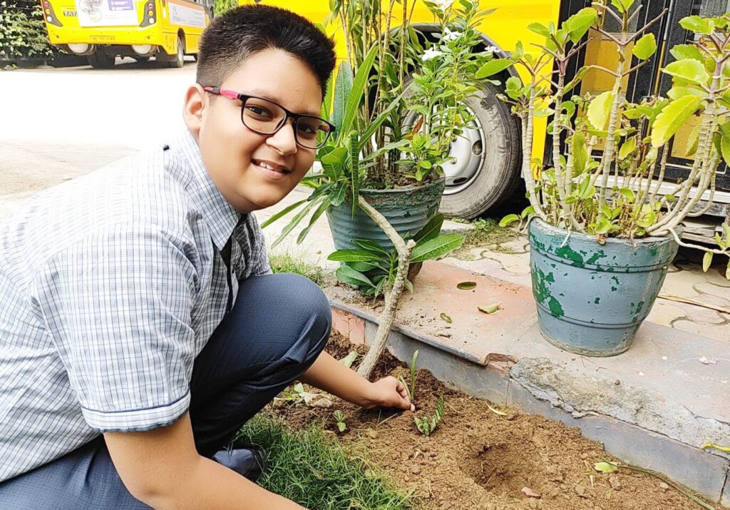 Tree Plantation